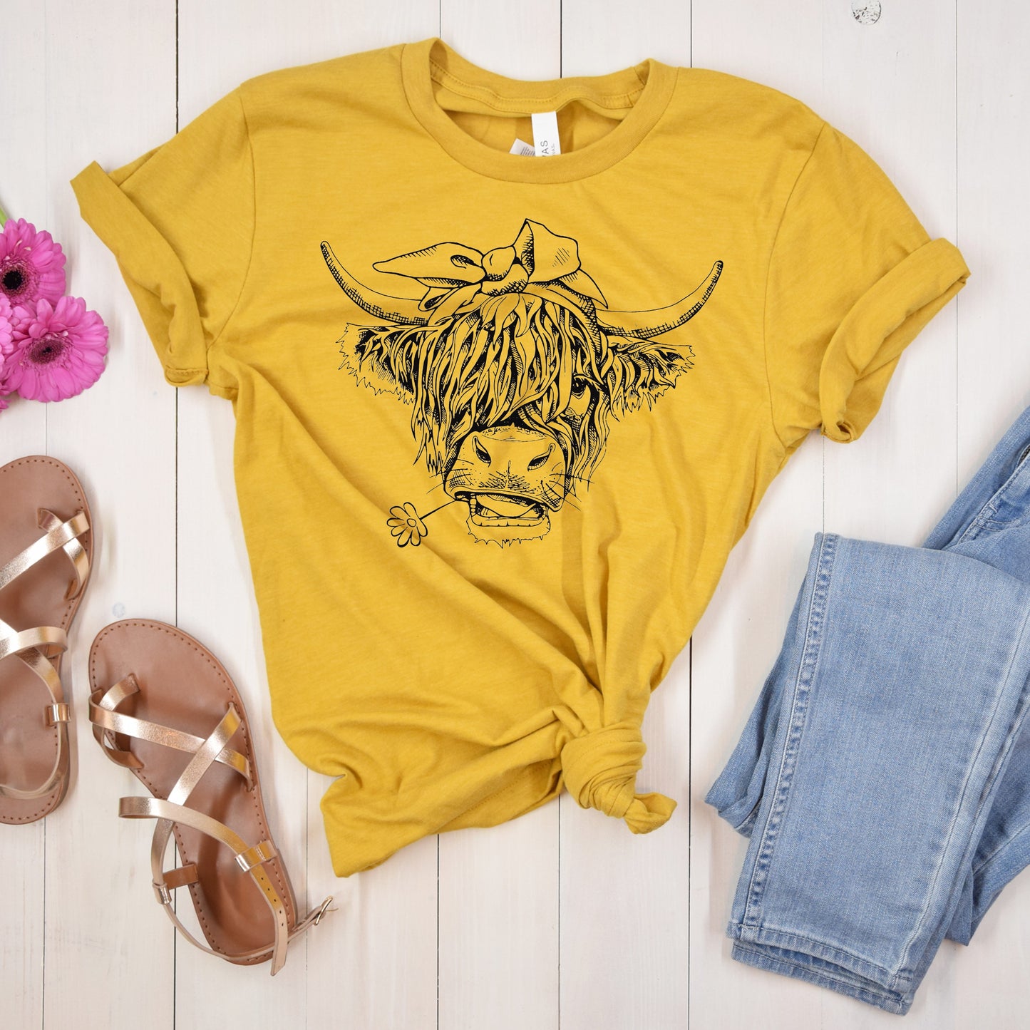 Highlander Cow